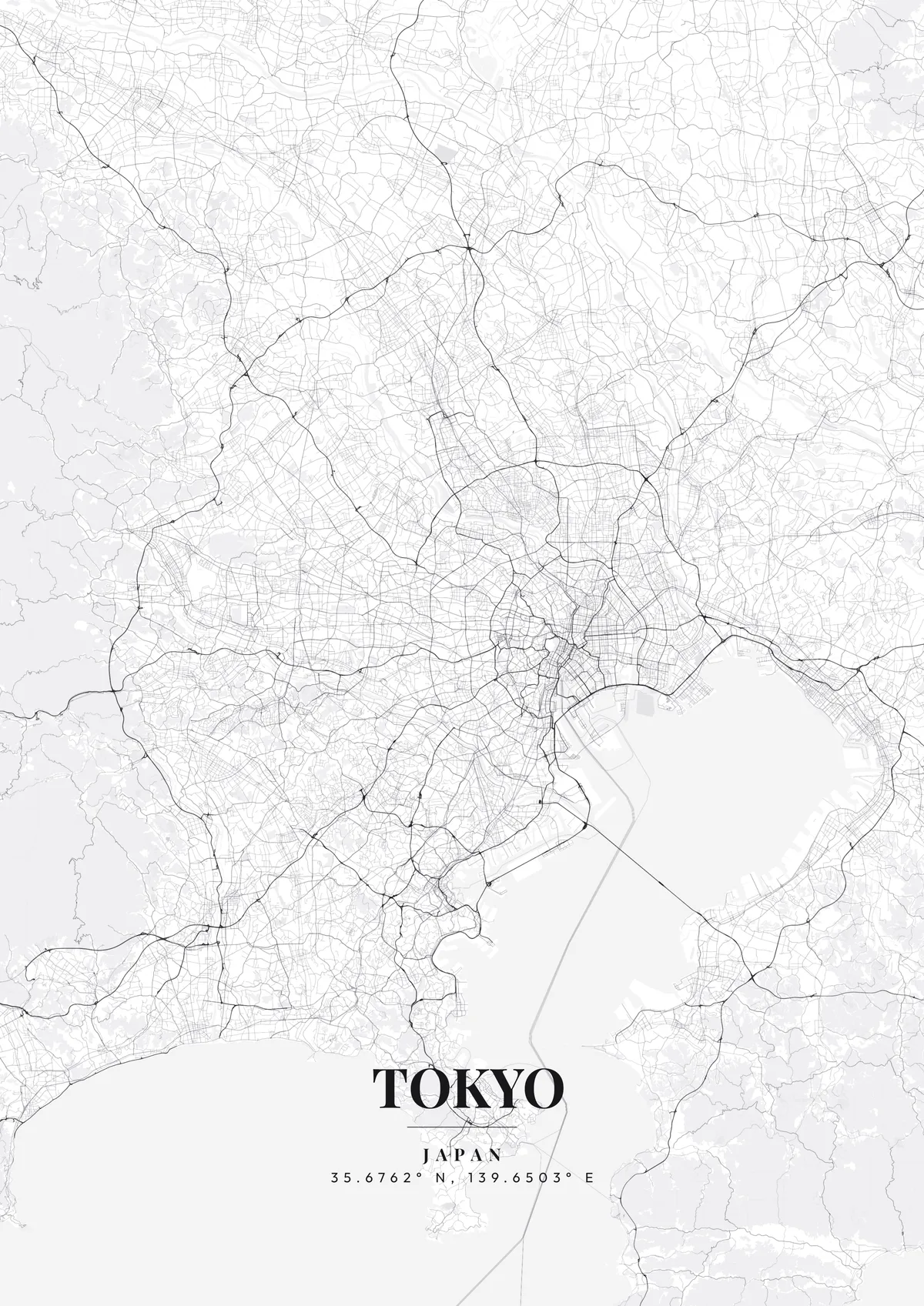 Tokyo Monochrome Pro map poster